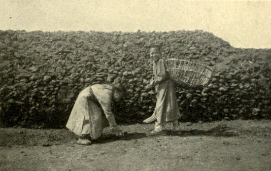 114.jpg