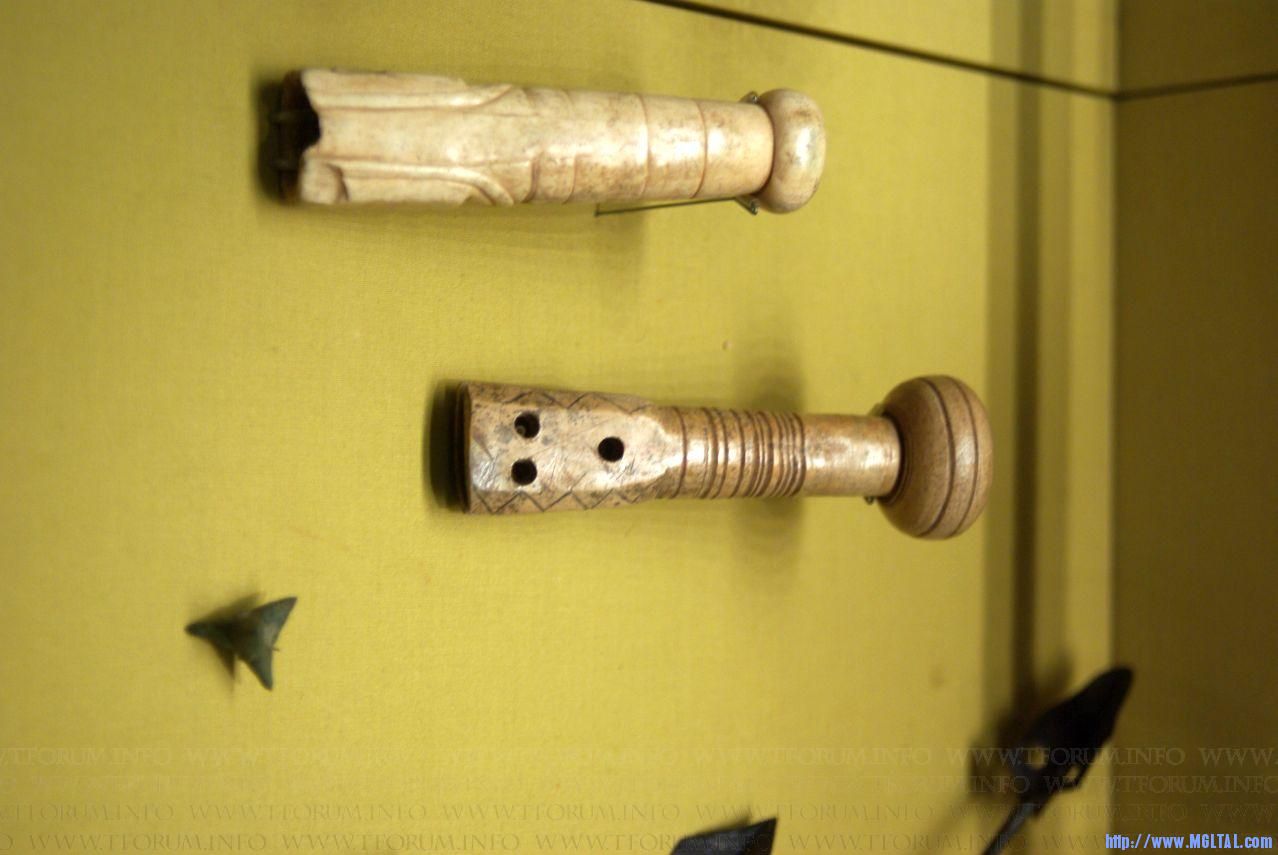 gallery_1649_73_100657.jpg