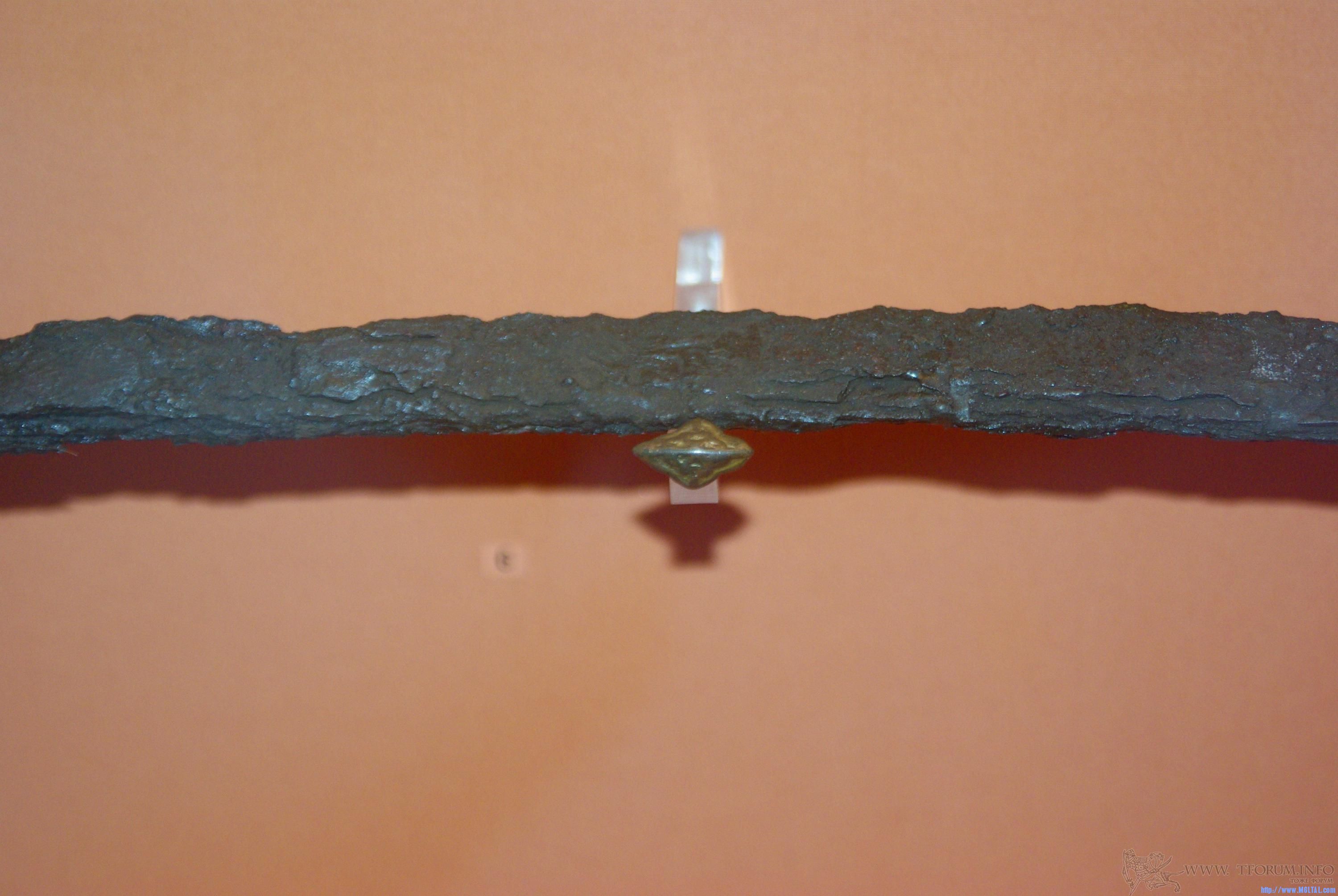 gallery_534_1611007.jpg