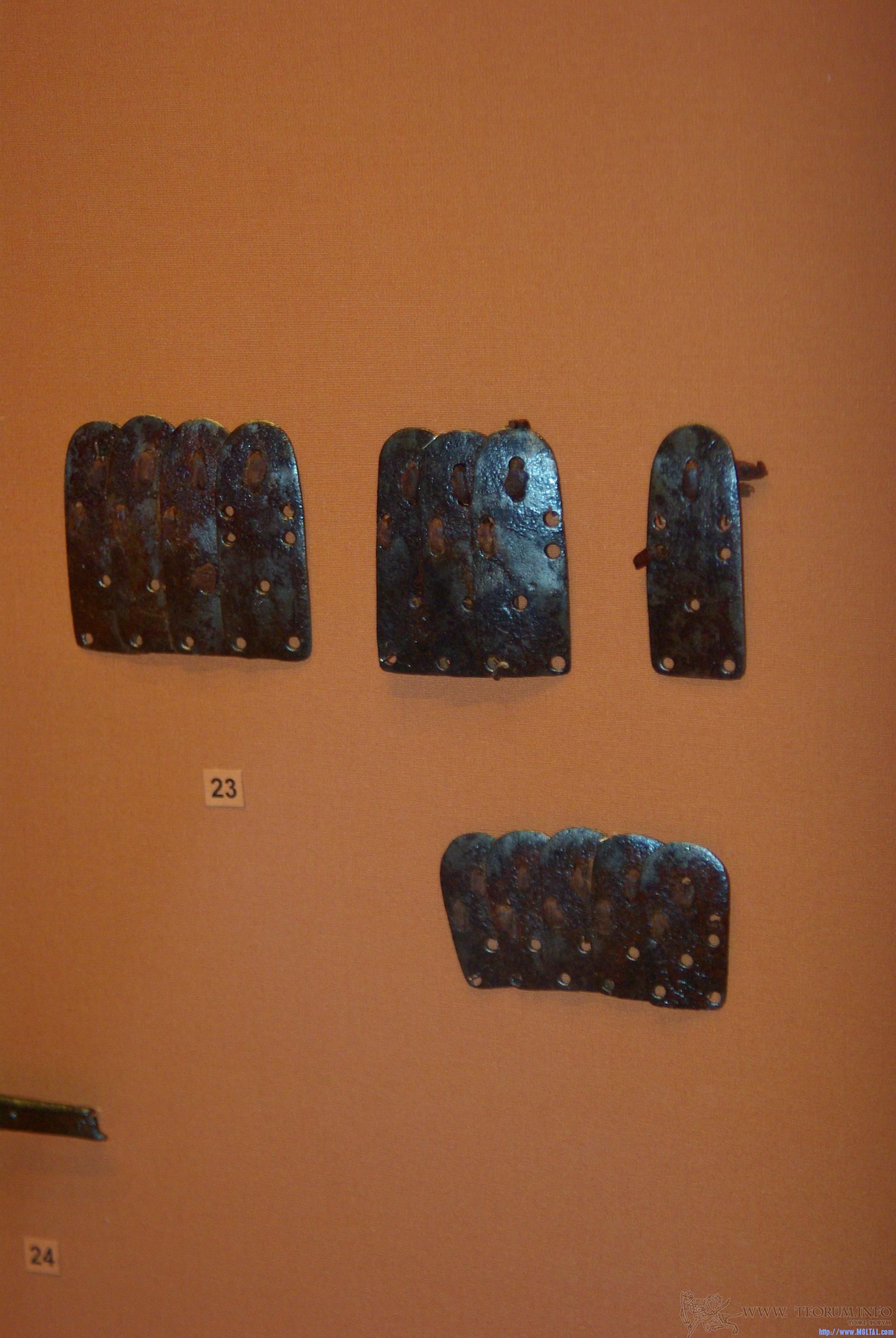 gallery_534_662396.jpg