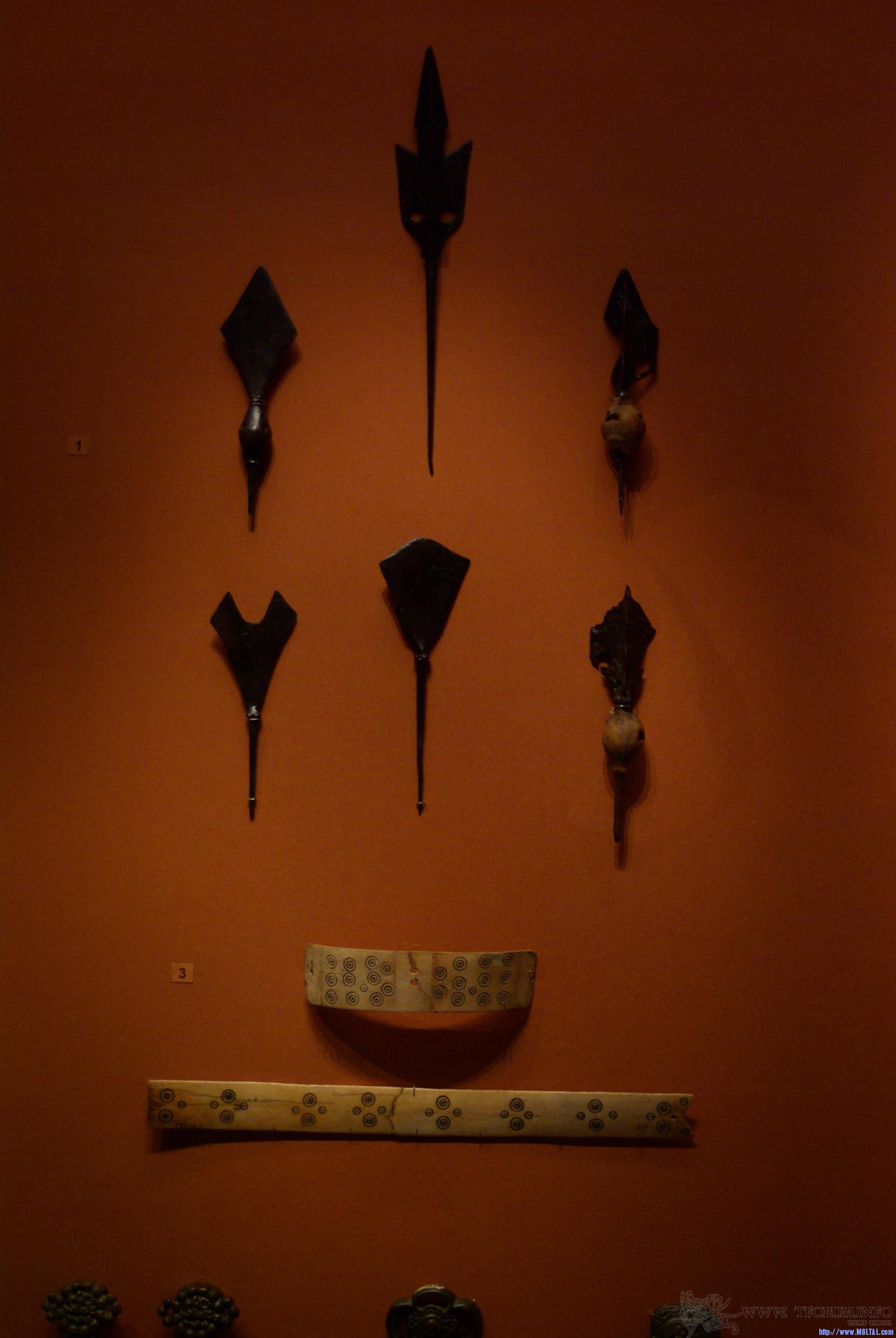 gallery_534_1049632.jpg