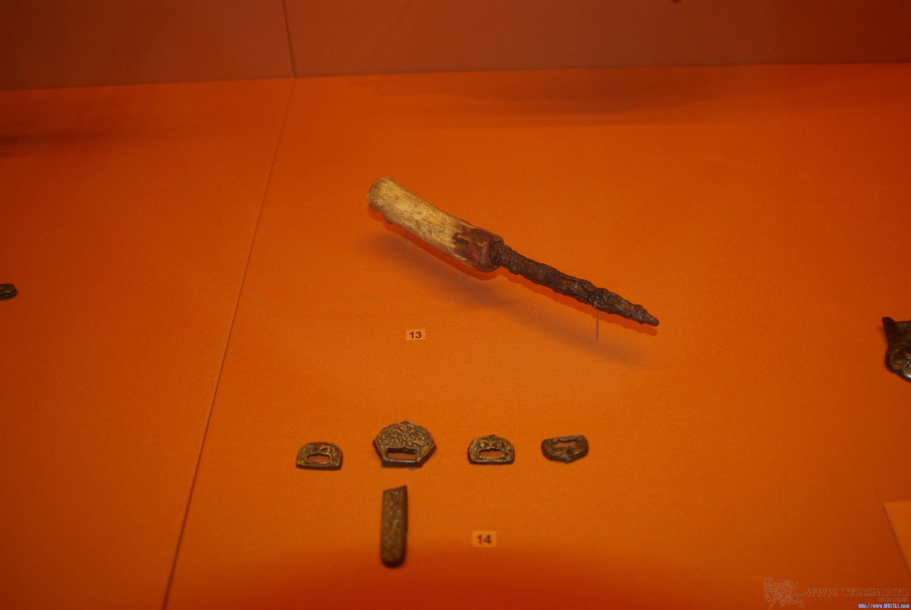 gallery_534_700279.jpg