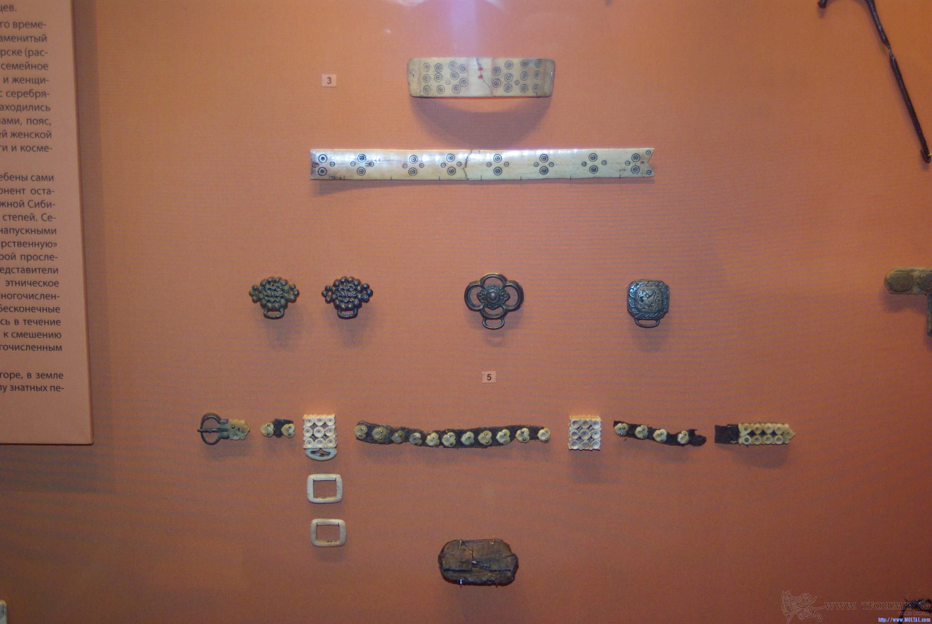 gallery_534_945821.jpg