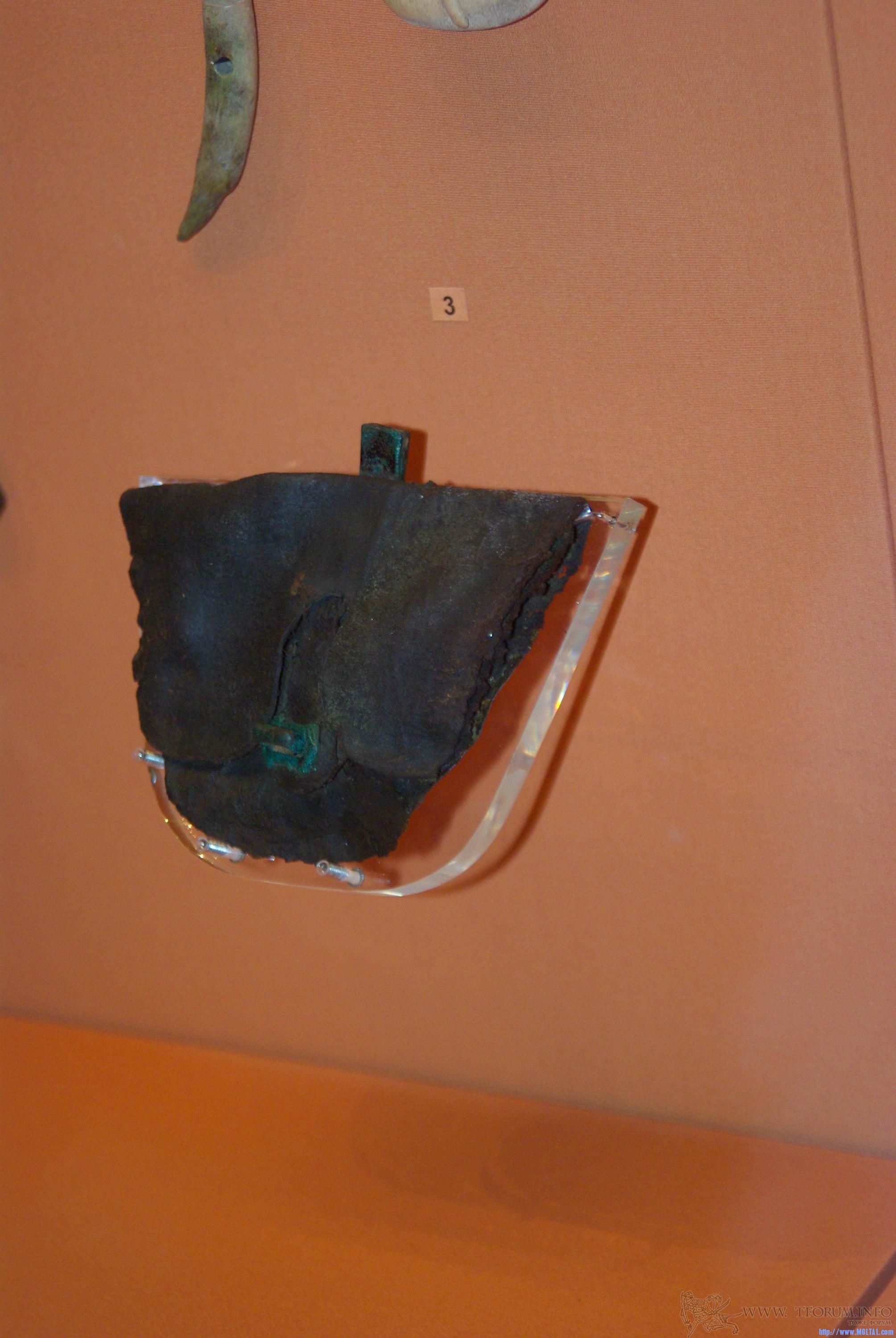 gallery_534_1900717.jpg