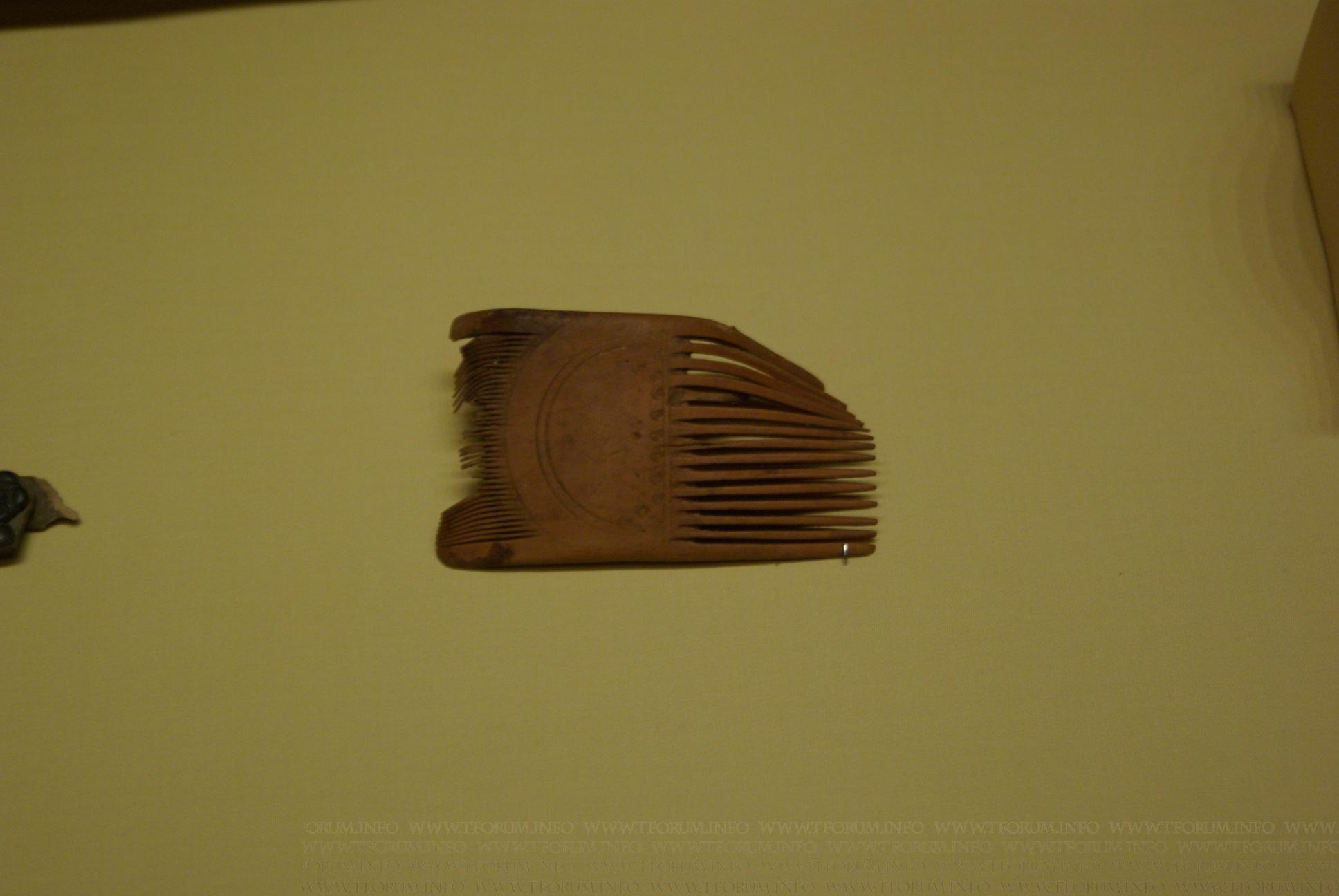 gallery_1649_209_383461.jpg
