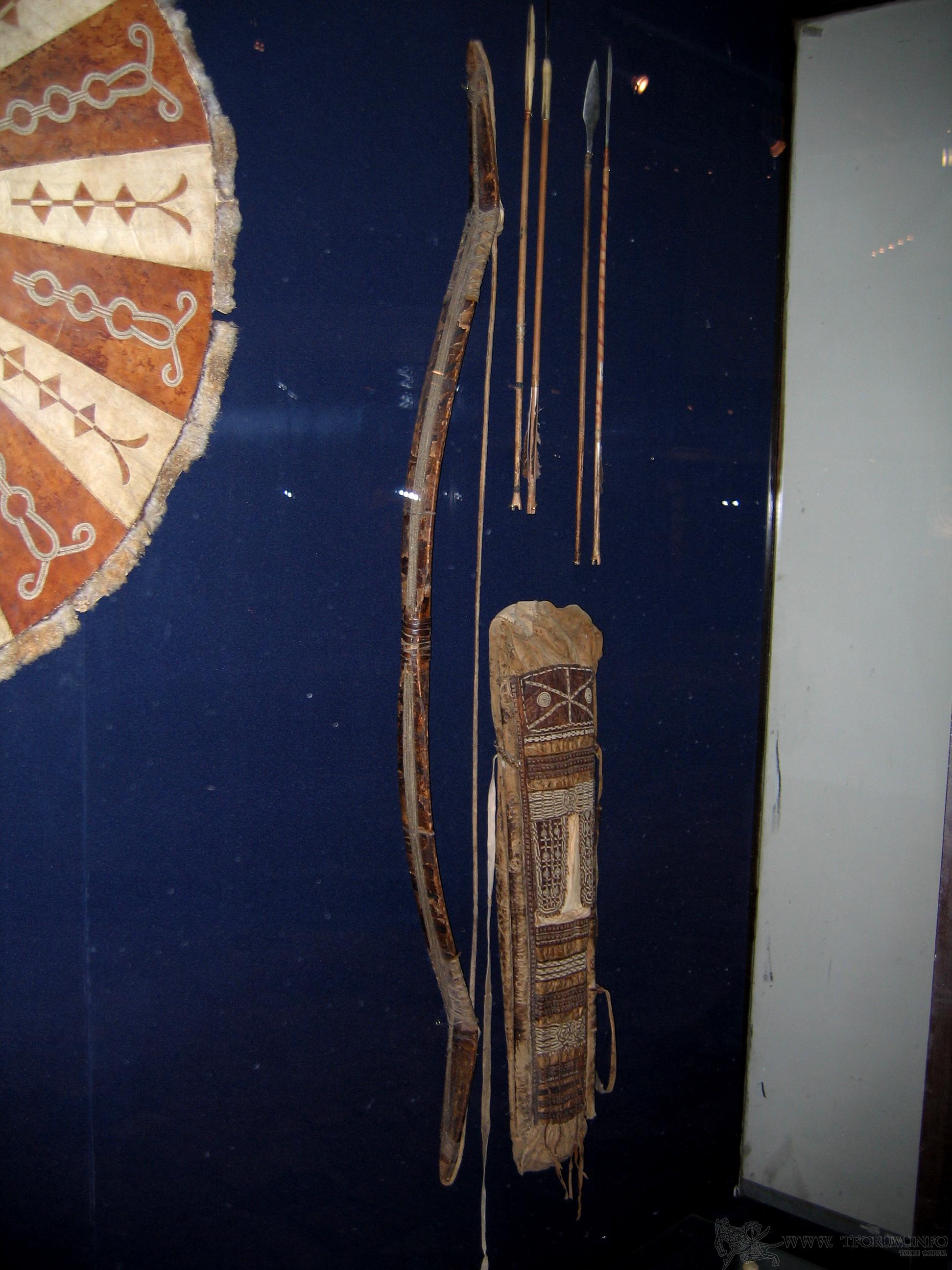 gallery_302_713_848145.jpg